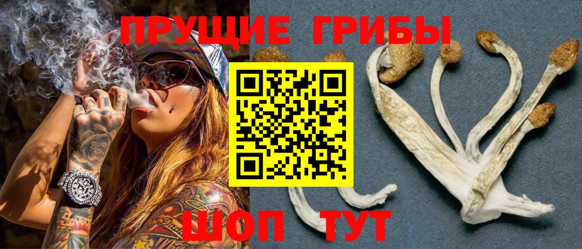 Галлюциногенные грибы Psilocybine cubensis  Вход с VPN  Псилоцибиновые грибы Cubensis  Артёмовский 